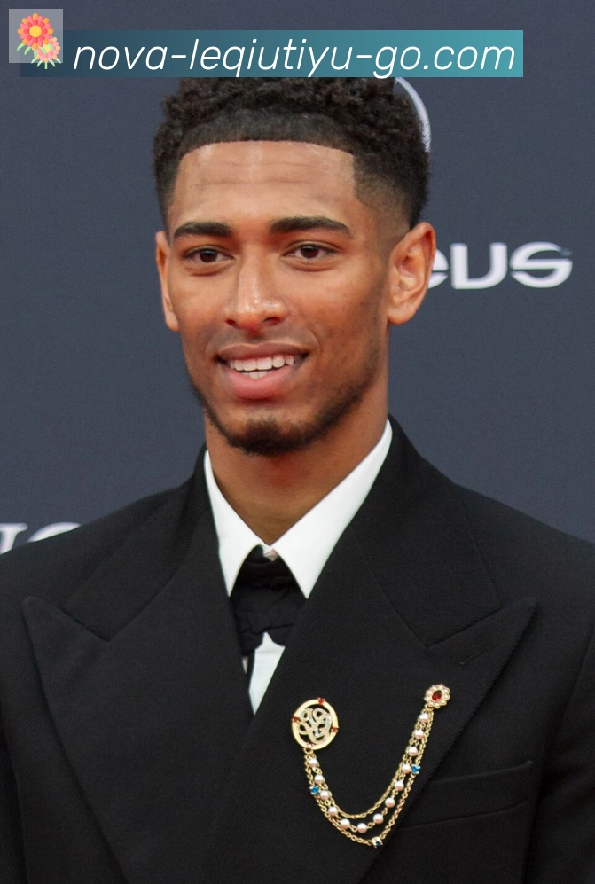 维尼修斯
